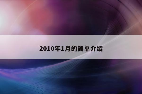 2010 年 1 月的简单介绍 - 第 1 张图片 - 小城生活