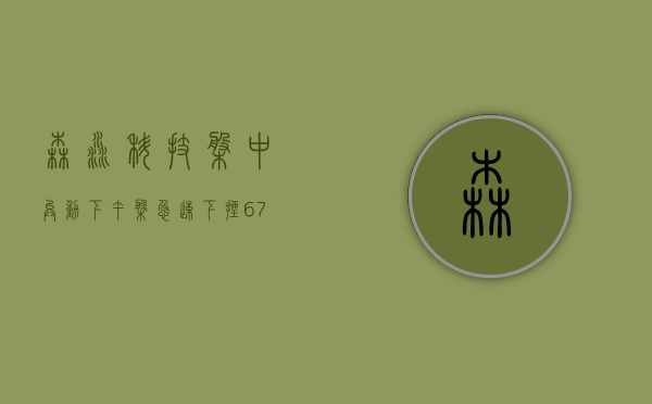 森淼科技盘中异动 下午盘急速下挫 6.79% 报 0.818 美元 - 第 1 张图片 - 小城生活