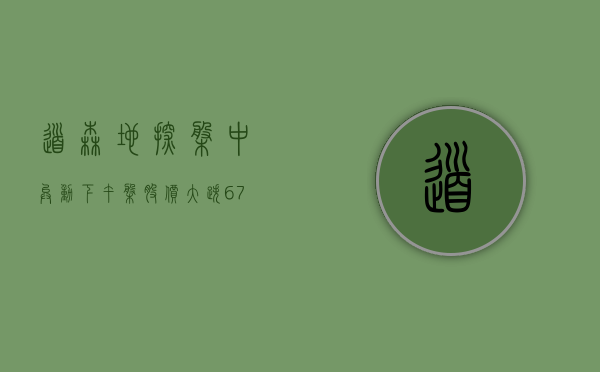 道森地探盘中异动 下午盘股价大跌 6.79%- 第 1 张图片 - 小城生活