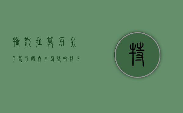 特斯拉算力水平等于国内车企总和？“转型	”AI 公司 算力、算法成未来 - 第 1 张图片 - 小城生活