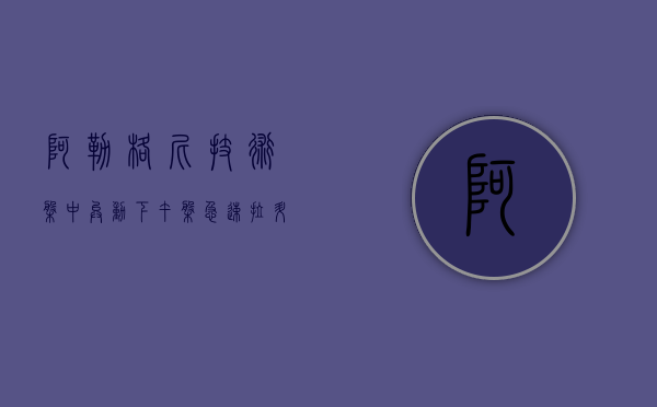 阿勒格尼技术盘中异动 下午盘急速拉升 5.07%- 第 1 张图片 - 小城生活