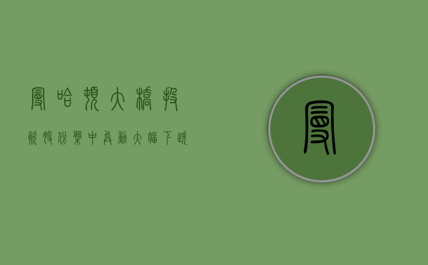 曼哈顿大桥投资股份盘中异动 大幅下跌 5.13%- 第 1 张图片 - 小城生活