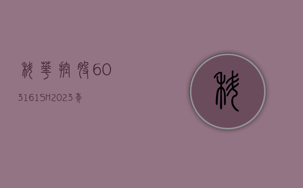 科华控股(603161.SH)：2023 年净利润同比增长 530.94% 拟 10 转 4.2 派 2.85 元 - 第 1 张图片 - 小城生活