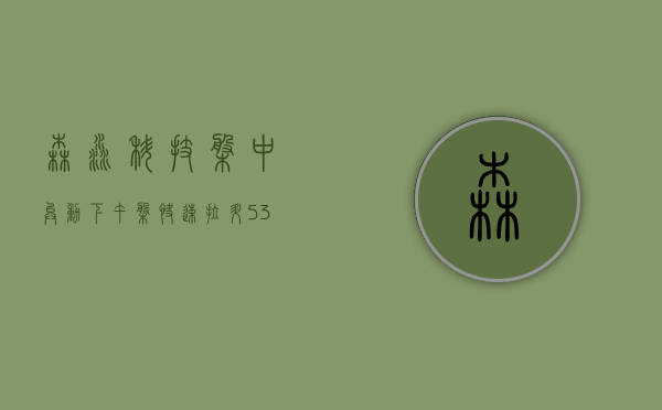 森淼科技盘中异动 下午盘快速拉升 5.30% 报 0.874 美元 - 第 1 张图片 - 小城生活