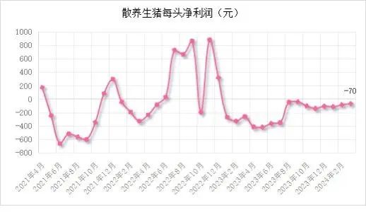 能繁母猪存栏 3992 万头！一季度同比下降 7.3%！- 第 22 张图片 - 小城生活