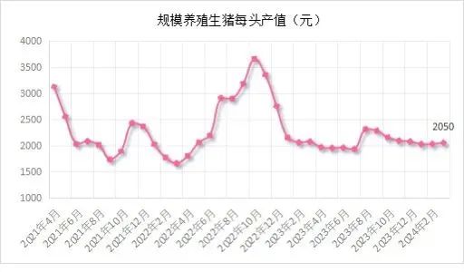 能繁母猪存栏 3992 万头！一季度同比下降 7.3%！- 第 23 张图片 - 小城生活