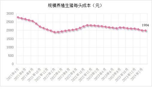 能繁母猪存栏 3992 万头！一季度同比下降 7.3%！- 第 24 张图片 - 小城生活