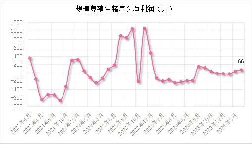 能繁母猪存栏 3992 万头！一季度同比下降 7.3%！- 第 25 张图片 - 小城生活