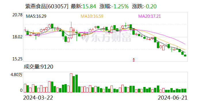 紫燕食品：股东合计拟减持不超过 0.6% 公司股份 - 第 1 张图片 - 小城生活