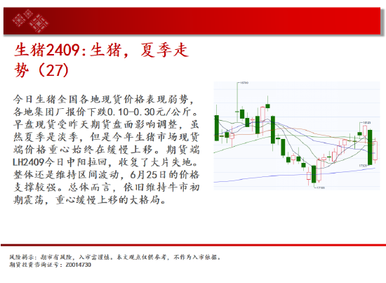 中天期货: 生猪夏季走势 生猪豆粕维持空头趋势 - 第 8 张图片 - 小城生活