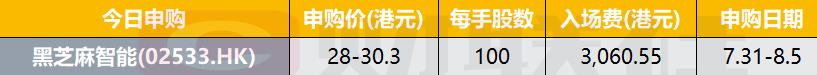 港股 IPO 早播报：黑芝麻智能今起招股 预期 8 月 8 日上市 - 第 1 张图片 - 小城生活