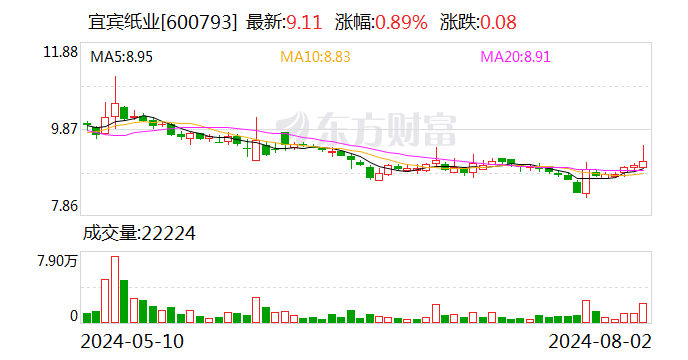 宜宾纸业：近期的暴雨天气未对公司生产经营造成影响 - 第 1 张图片 - 小城生活