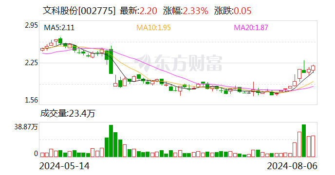 文科股份：2024 年上半年净利润同比增长 43.87%- 第 1 张图片 - 小城生活