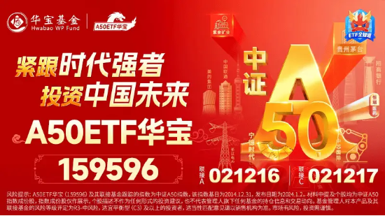 继续涨！沪指一举拿下 2900 点！A50 龙头全线上涨，A50ETF 华宝（159596）上探 3% 站上半年线 - 第 3 张图片 - 小城生活