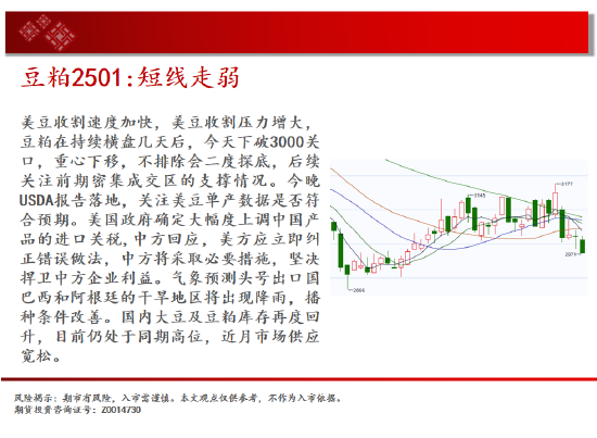 中天期货: 生猪底部大震荡 豆粕短线走弱 - 第 12 张图片 - 小城生活