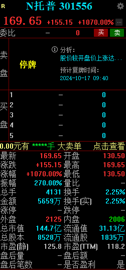 新股 N 托普大涨 1070% 触发临时停牌 - 第 2 张图片 - 小城生活