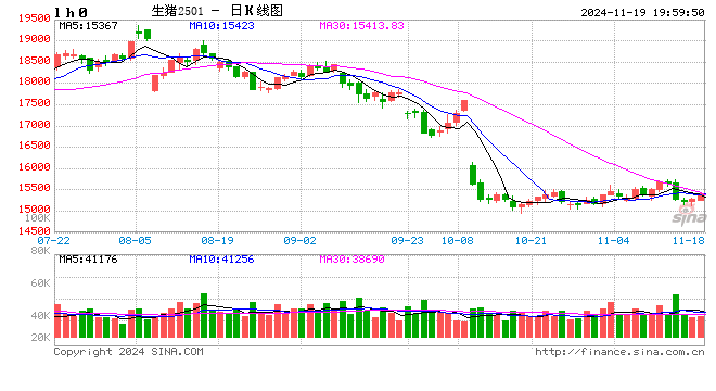 每日猪讯 11.19- 第 2 张图片 - 小城生活