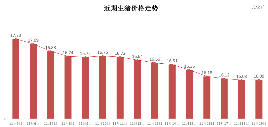 每日猪讯 11.19- 第 3 张图片 - 小城生活