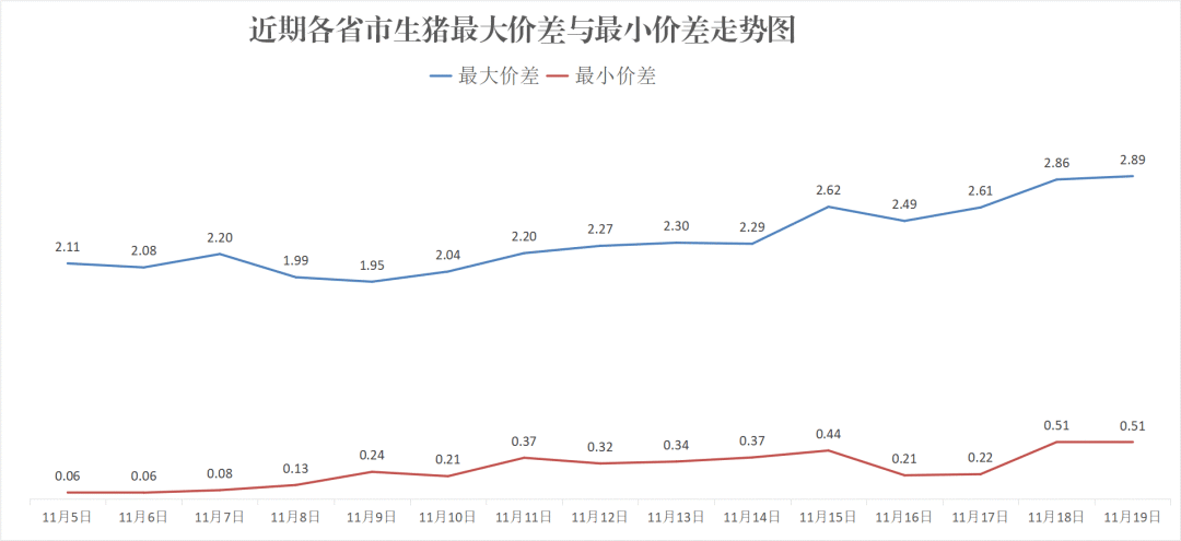 每日猪讯 11.19- 第 8 张图片 - 小城生活